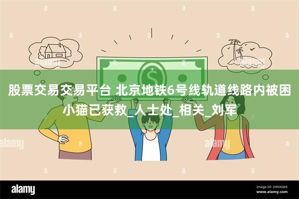 股票交易交易平台 北京地铁6号线轨道线路内被困小猫已获救_人士处_相关_刘军