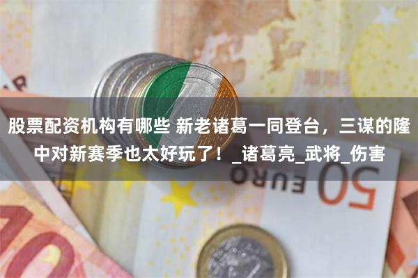 股票配资机构有哪些 新老诸葛一同登台，三谋的隆中对新赛季也太好玩了！_诸葛亮_武将_伤害