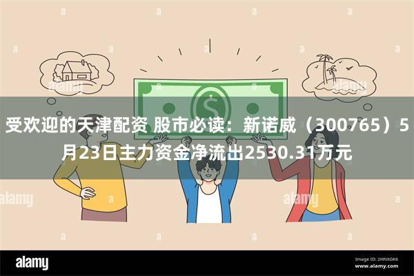 受欢迎的天津配资 股市必读：新诺威（300765）5月23日主力资金净流出2530.31万元