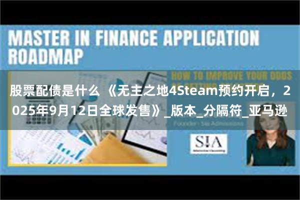 股票配债是什么 《无主之地4Steam预约开启，2025年9月12日全球发售》_版本_分隔符_亚马逊